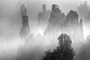 Impresiones chinas - © Samuel Feron