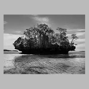 Sebastiao Salgado