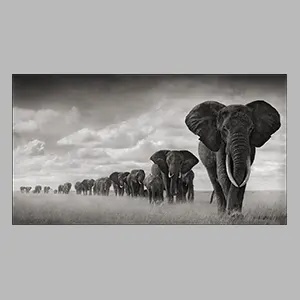 Sebastiao Salgado