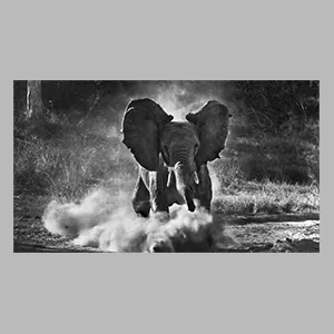Sebastiao Salgado