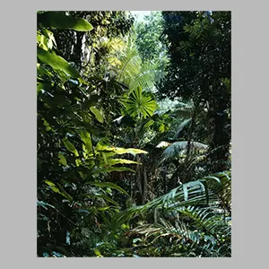 Thomas Struth