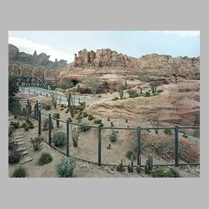 Thomas Struth