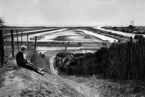 Inge Morath