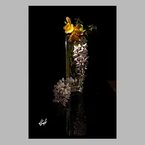 Glicinia y fresias.
