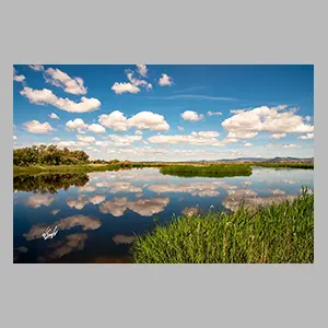 'Las Tablas de Daimiel' Ciudad Real - España 2025. © JGM