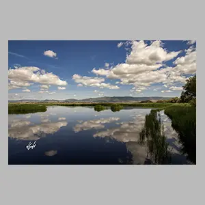 'Las Tablas de Daimiel' Ciudad Real - España 2025. © JGM