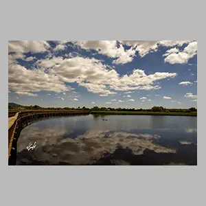 'Las Tablas de Daimiel' Ciudad Real - España 2025. © JGM