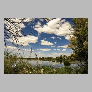 'Las Tablas de Daimiel' Ciudad Real - España 2025. © JGM