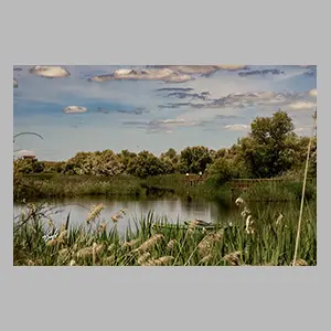 'Las Tablas de Daimiel' Ciudad Real - España 2025. © JGM