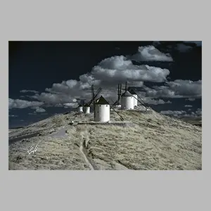 Molinos de Viento - Consuegra - 2025. © JGM