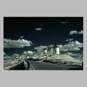 Molinos de Viento - Consuegra - 2025. © JGM