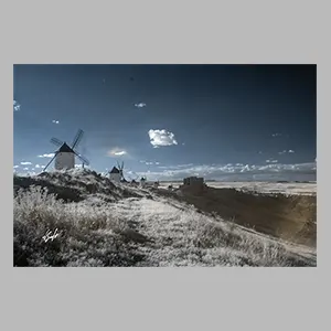 Molinos de Viento - Consuegra - 2025. © JGM