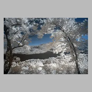 Lago de Sanabria. Foto de JGM