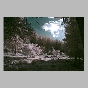 Parque Nacional de Sierra Nevada - Granada