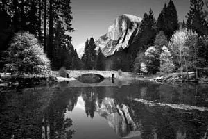 Ansel Adams 