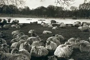  Bill Brandt