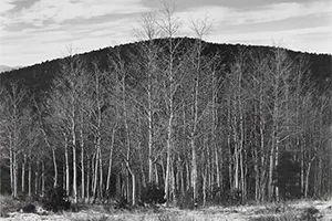 Aspen Valley, Nuevo México, 1937 