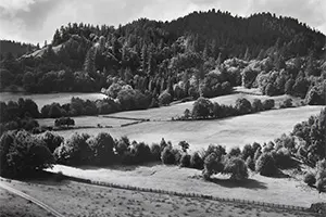  Eel River Ranch, 1937