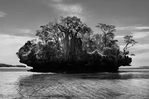 Sebastiao Salgado