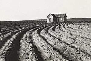 Dorothea Lange