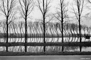 Marc Riboud