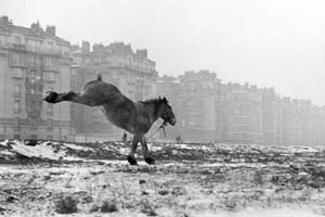 Sabine Weiss