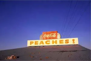 William Eggleston