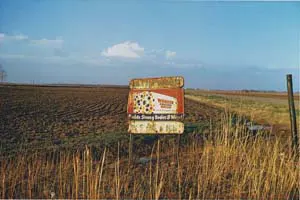 William Eggleston