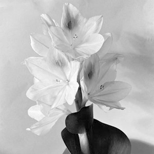 Imogen Cunningham