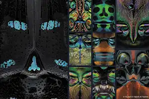 Ganadores del HIPA 2020-2021 - 'Humanidad'