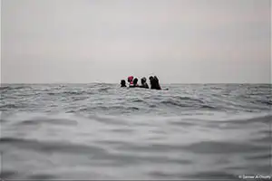 Ganadores del HIPA 2020-2021 - 'Humanidad'