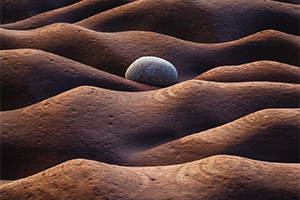 Primer premio absoluto (Categoría de series)© Oleg Ershov, Russian Federation