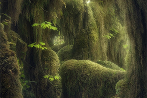 © Blake Randall, Canada