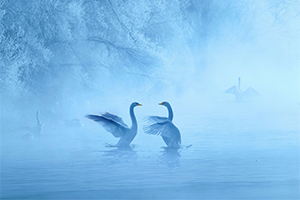 Kangfen Zhu, Equipo China