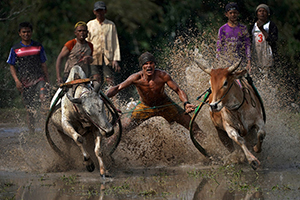 Chew Seng Kim, Singapore - 6th Place - Reportage / Photojournalism