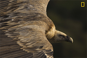 Primer lugar - Naturaleza. 