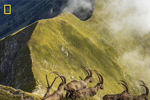 Mención honorífica - Naturaleza. 