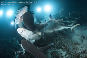 'Underwater Photographer of the Year' 2019 