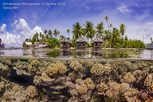'Underwater Photographer of the Year' 2019 