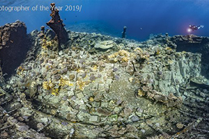 'Underwater Photographer of the Year' 2019 