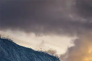 Segundo lugar - Naturaleza. 