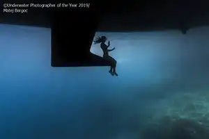'Underwater Photographer of the Year' 2019 