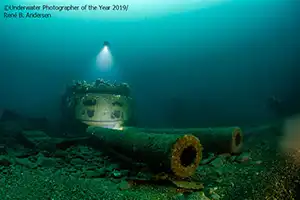 'Underwater Photographer of the Year' 2019 