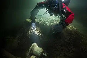 'Underwater Photographer of the Year' 2019 
