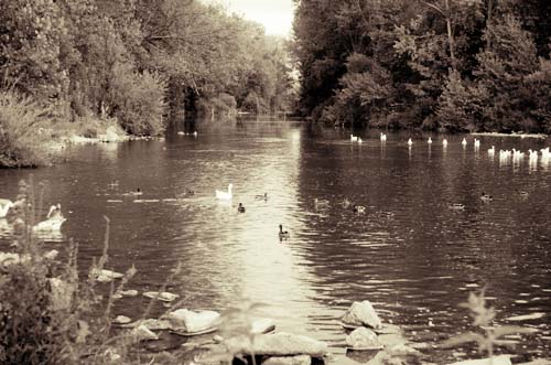 Virado Sepia